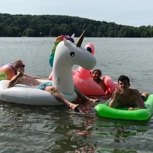 Meet your Posher, Joey